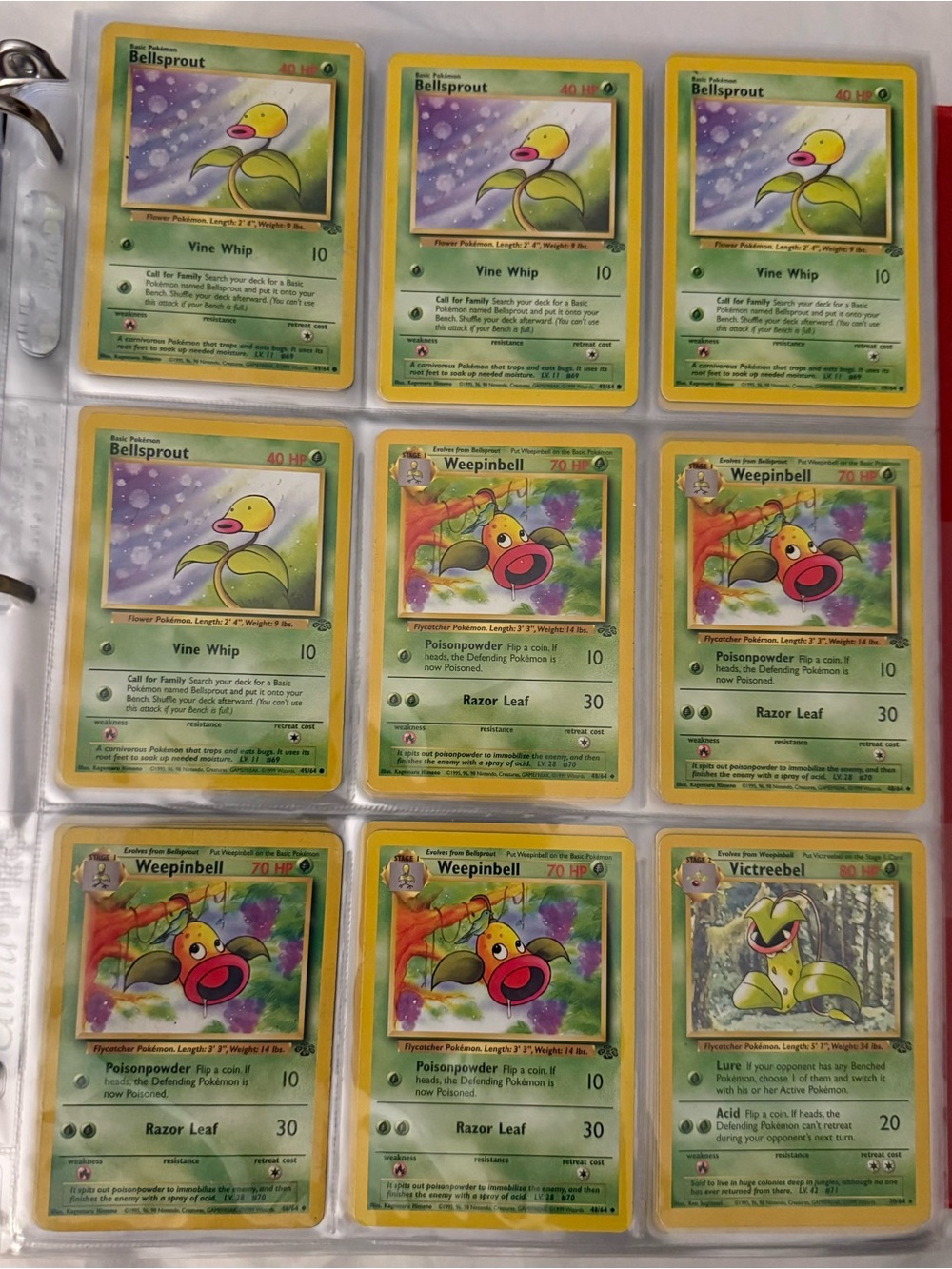 Pokémon TCG Jungle Base Set Bundle 69 Cards